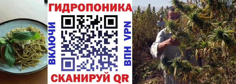 hydra как войти  Черняховск  Печенье с ТГК марихуана 