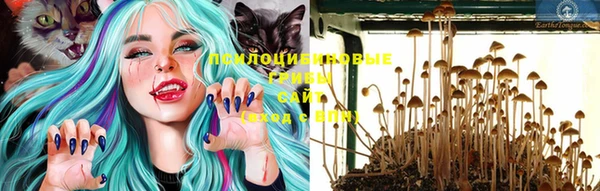 MDMA Premium VHQ Вяземский