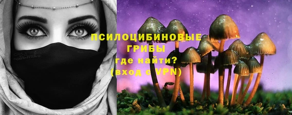 MDMA Premium VHQ Вяземский