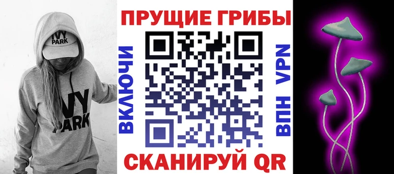 Псилоцибиновые грибы прущие грибы  Черняховск 